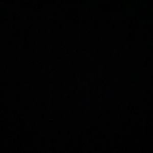 Meet your Posher, Maddie